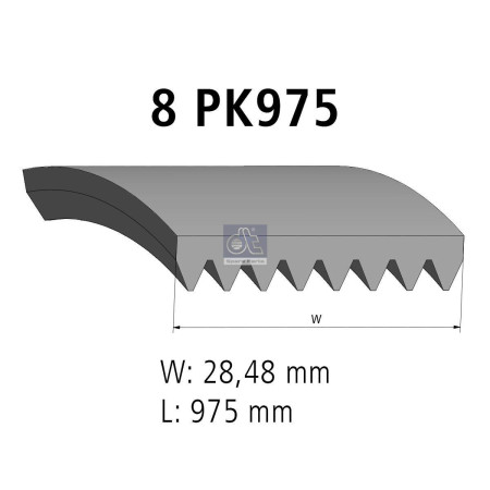 MULTIRIBBED BELT 8 PK 975 MM 2.21059